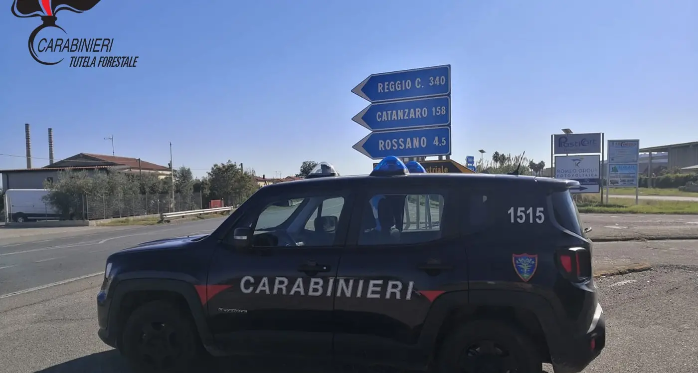 Fuochi d’artificio e incendio a Rossano, oltre 500 ulivi distrutti: quattro persone denunciate\n