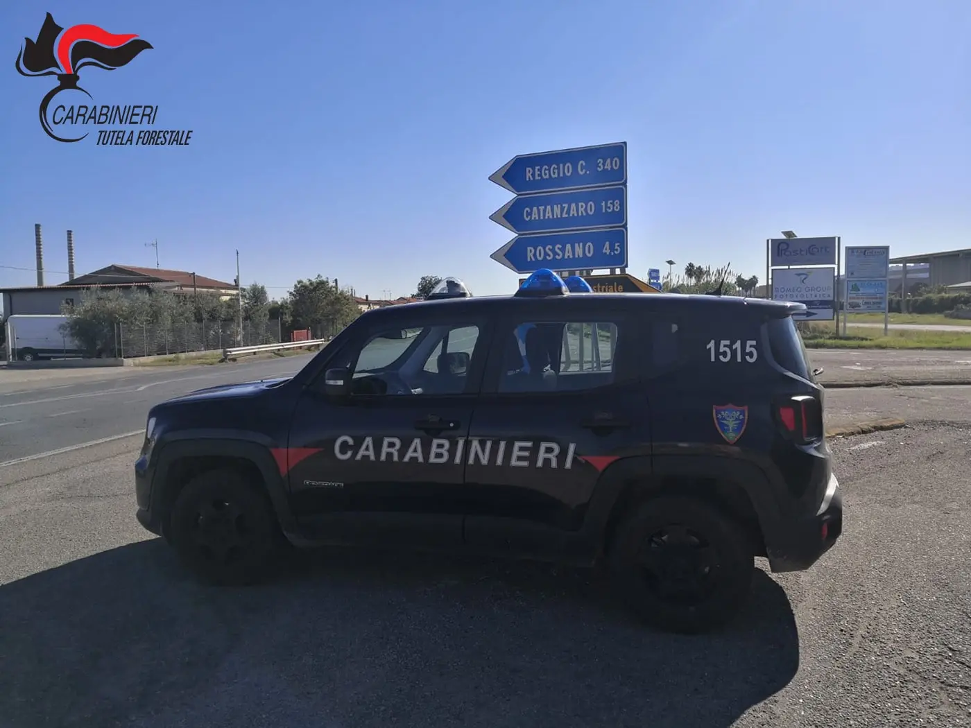 Fuochi d’artificio e incendio a Rossano, oltre 500 ulivi distrutti: quattro persone denunciate\n