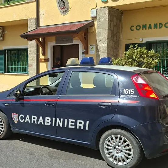 <p>Corigliano Rossano, i fuochi d'artificio per la festa patronale bruciano più di 500 ulivi: quattro persone denunciate</p>