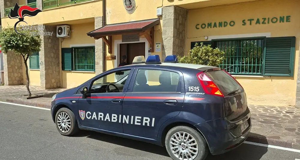 <p>Corigliano Rossano, i fuochi d'artificio per la festa patronale bruciano più di 500 ulivi: quattro persone denunciate</p>