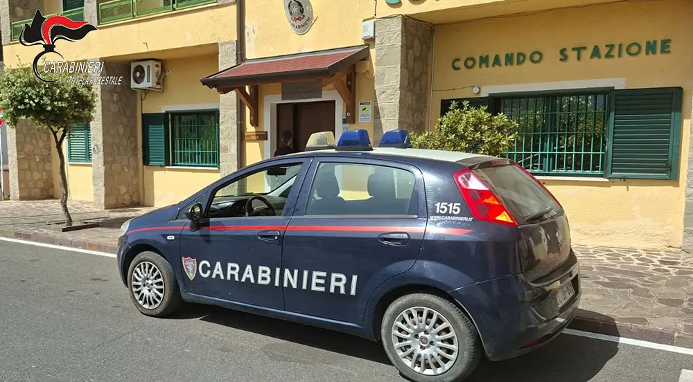 <p>Corigliano Rossano, i fuochi d'artificio per la festa patronale bruciano più di 500 ulivi: quattro persone denunciate</p>