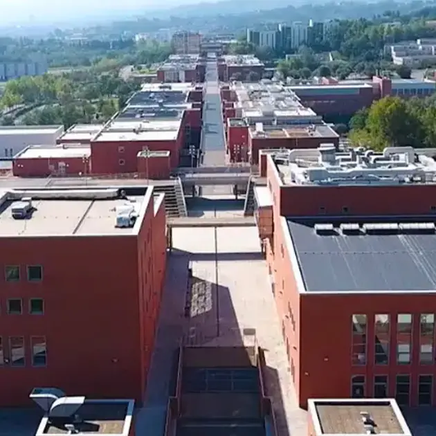 Unical, oltre mille posti nelle lauree magistrali: domande fino al 10 settembre\n
