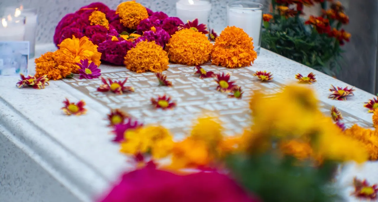 <p>Corigliano Rossano, raid al cimitero: in fiamme i chioschi dei fiorai</p>