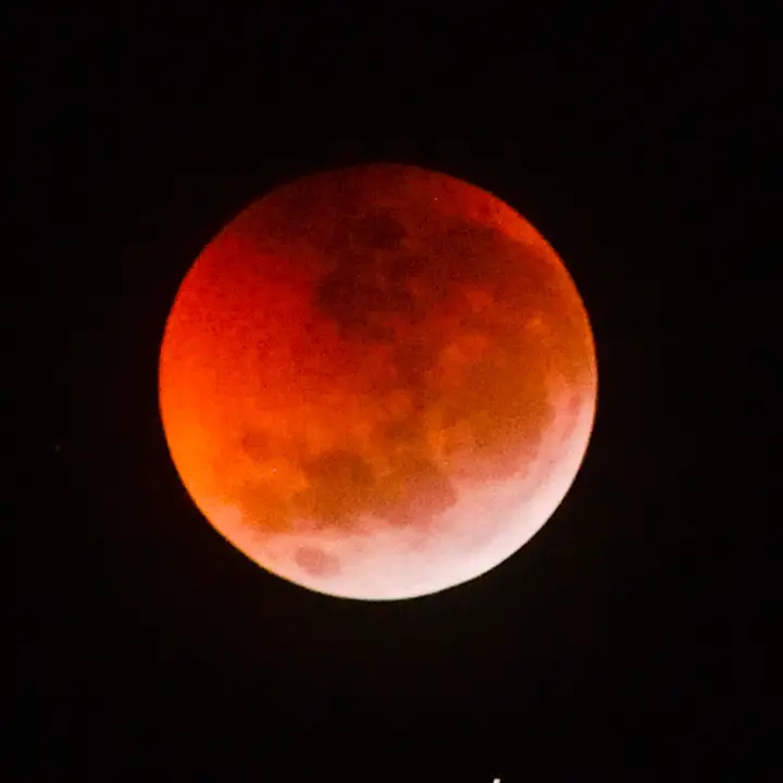 Eclissi di Luna il 28 agosto, lo spettacolo all’alba: ecco quando vederla in Calabria e quanto durerà\n