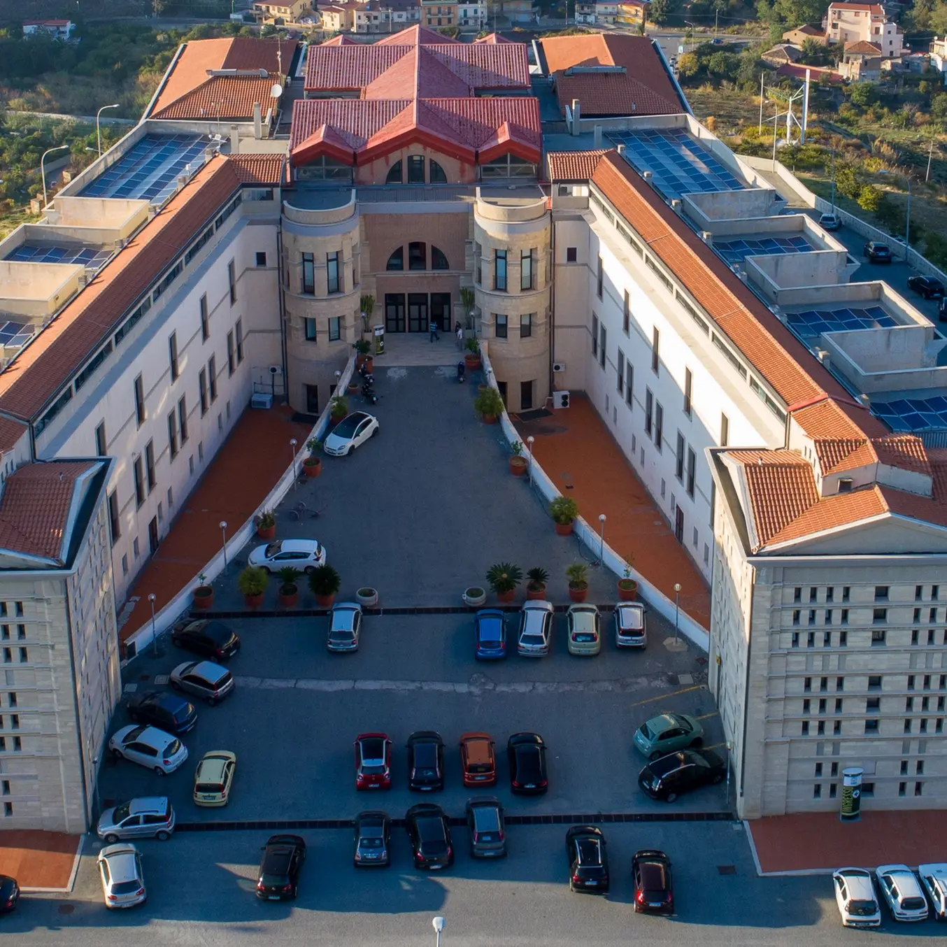 L’Università Mediterranea di Reggio Calabria rinnova le Scienze Forestali: una sfida per il clima e il lavoro\n