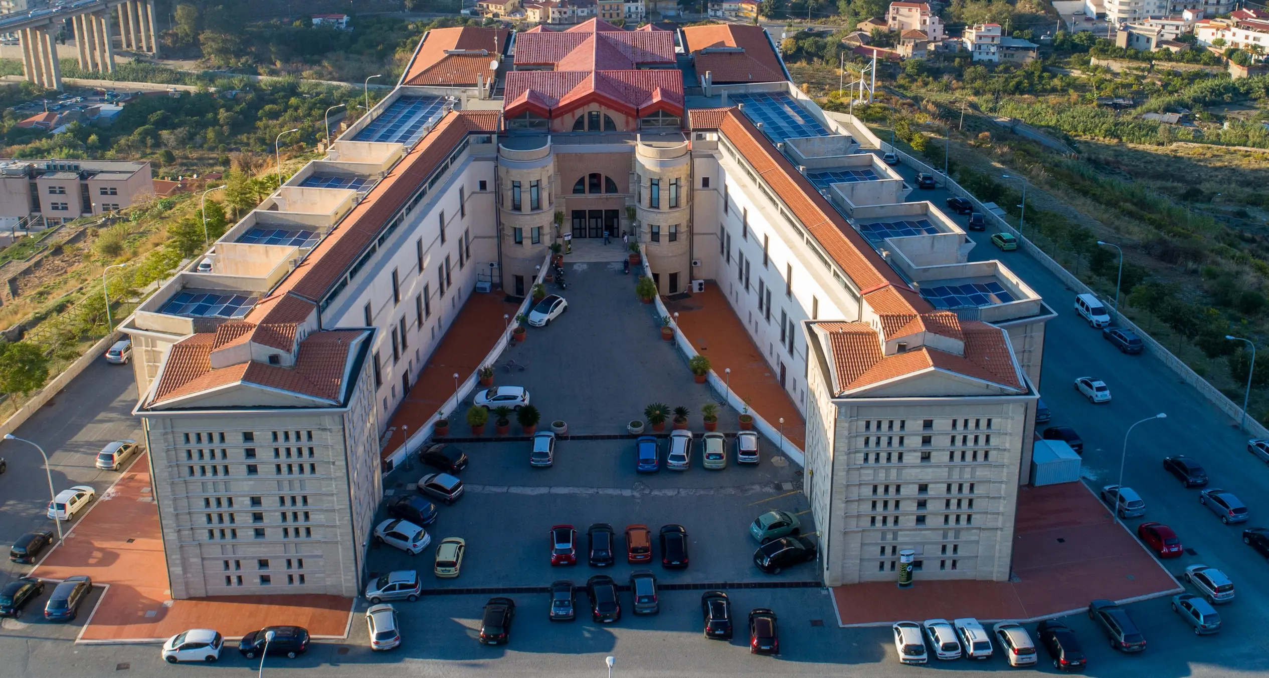 L’Università Mediterranea di Reggio Calabria rinnova le Scienze Forestali: una sfida per il clima e il lavoro\n