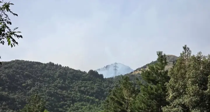 Incendio nel Pollino: brucia il costone vicino allo svincolo per Civita. In fiamme un’auto\n