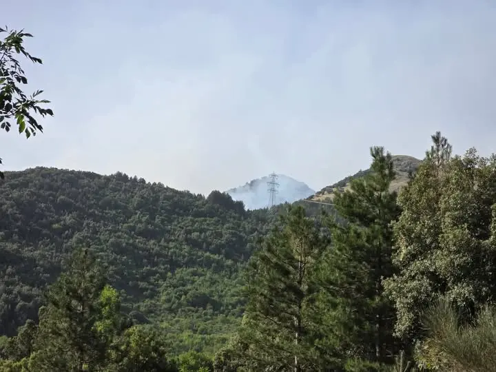 Incendio nel Pollino: brucia il costone vicino allo svincolo per Civita. In fiamme un’auto\n