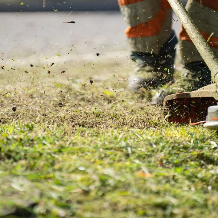 Al via il piano integrativo per il verde urbano: investiti quasi 80mila euro per il decoro dei quartieri Aranceto, Via Fares, Corvo, Pistoia e Isonzo\n