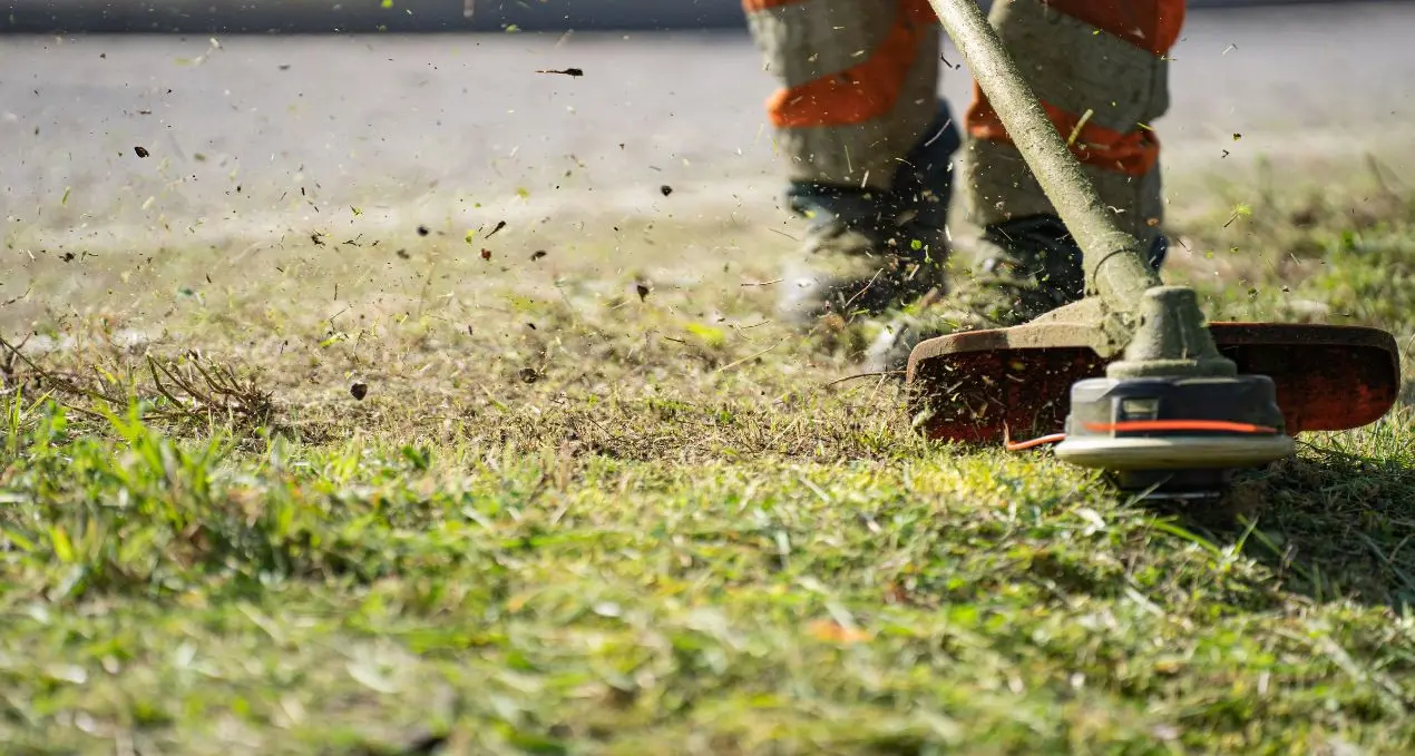 Al via il piano integrativo per il verde urbano: investiti quasi 80mila euro per il decoro dei quartieri Aranceto, Via Fares, Corvo, Pistoia e Isonzo\n