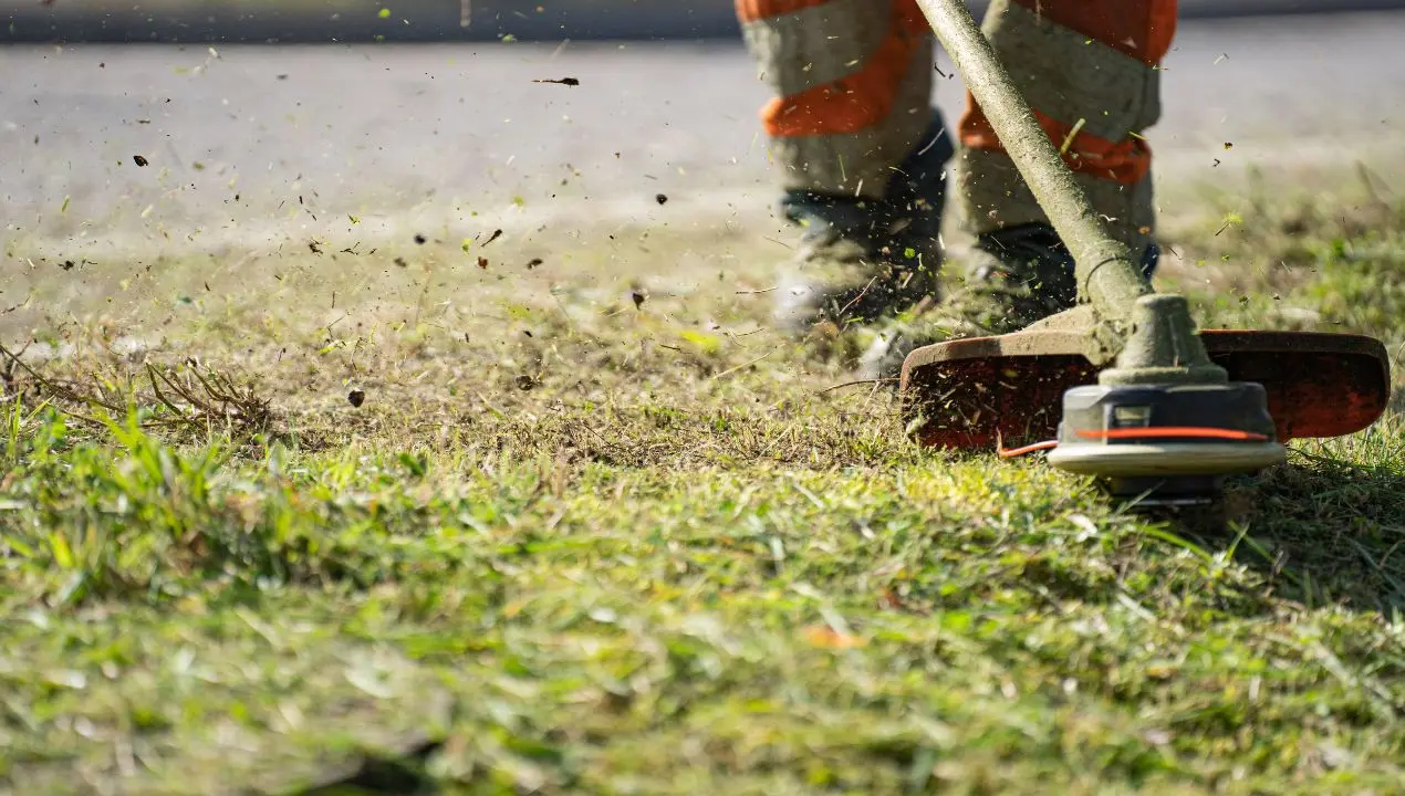 Al via il piano integrativo per il verde urbano: investiti quasi 80mila euro per il decoro dei quartieri Aranceto, Via Fares, Corvo, Pistoia e Isonzo\n