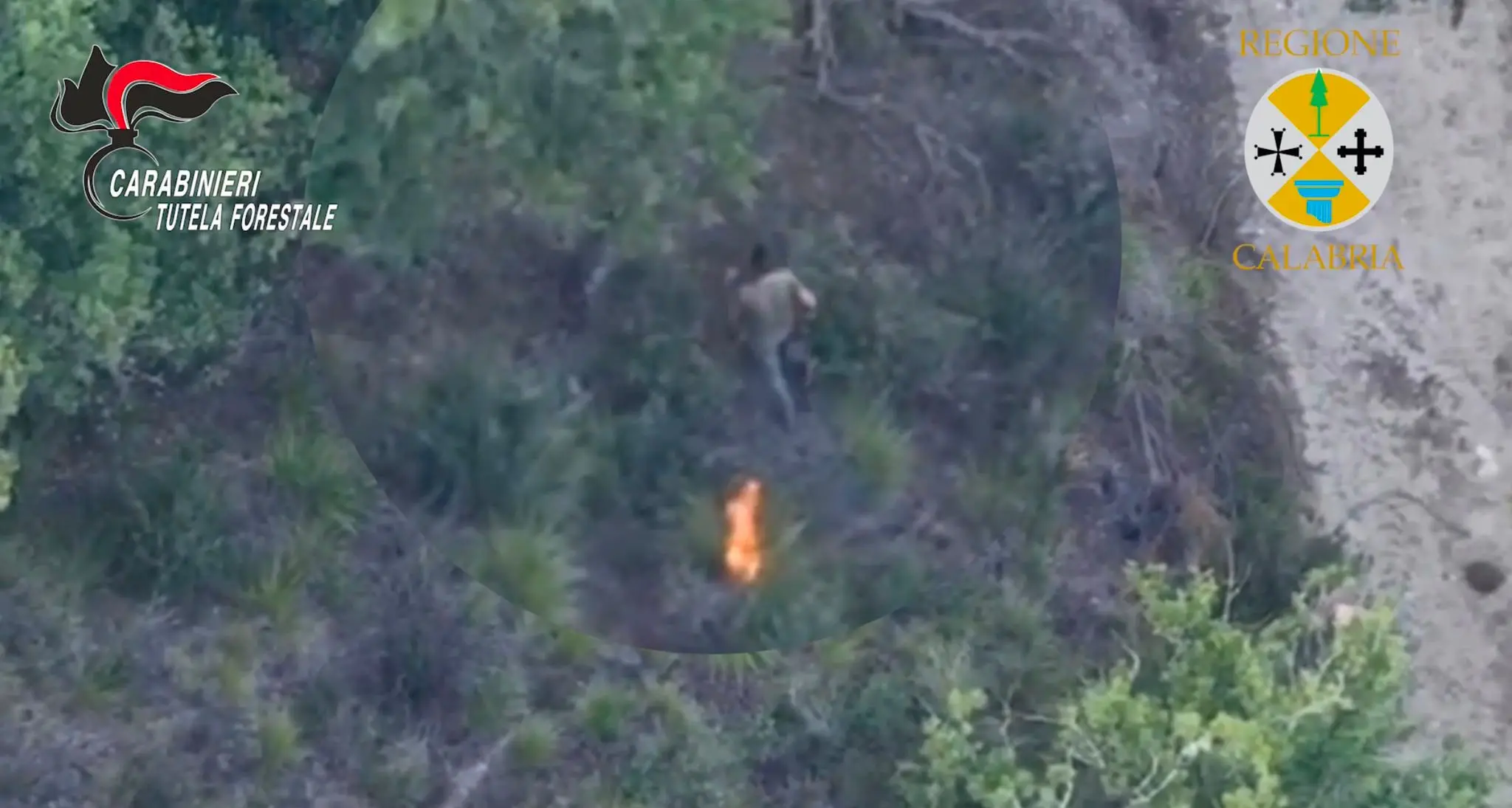 Filandari, appicca\u00A0fuoco nel bosco ma viene ripreso dal drone: arrestato allevatore –\u00A0VIDEO\n