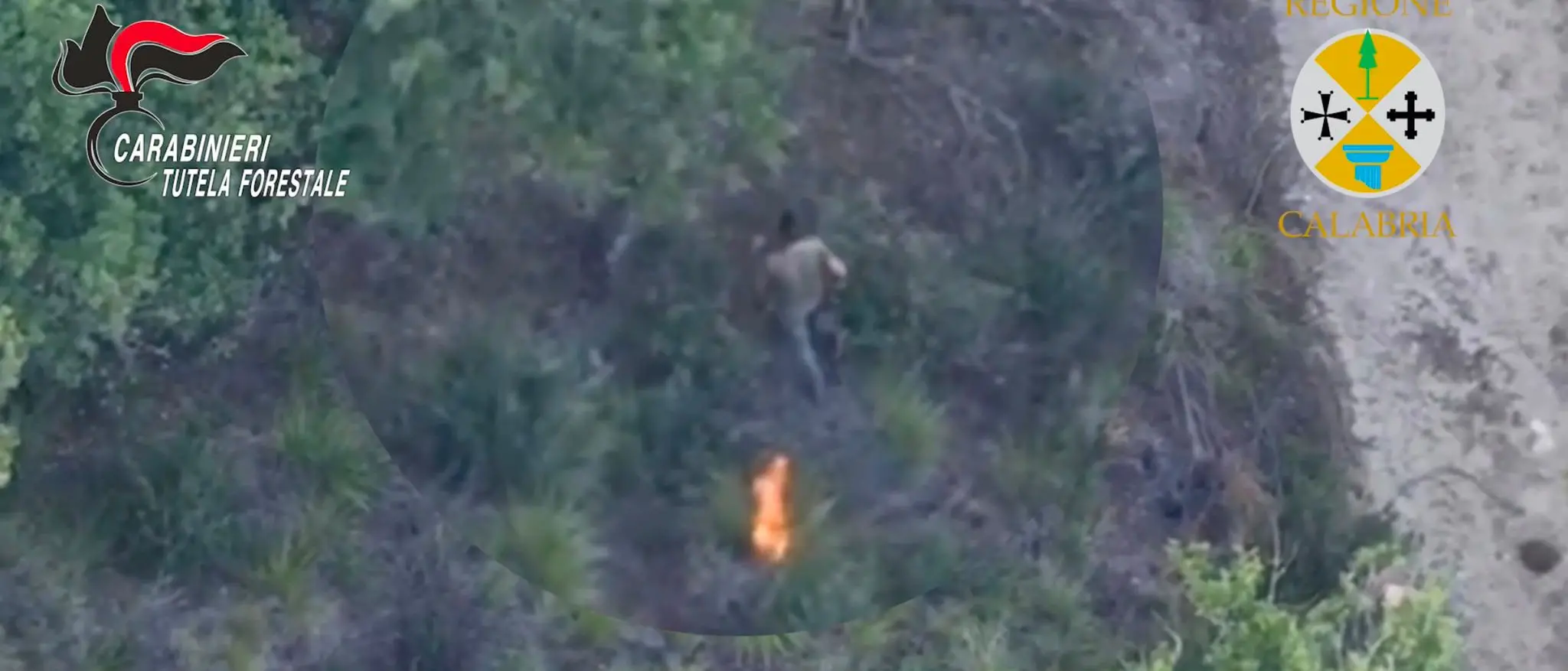 Filandari, appicca\u00A0fuoco nel bosco ma viene ripreso dal drone: arrestato allevatore –\u00A0VIDEO\n