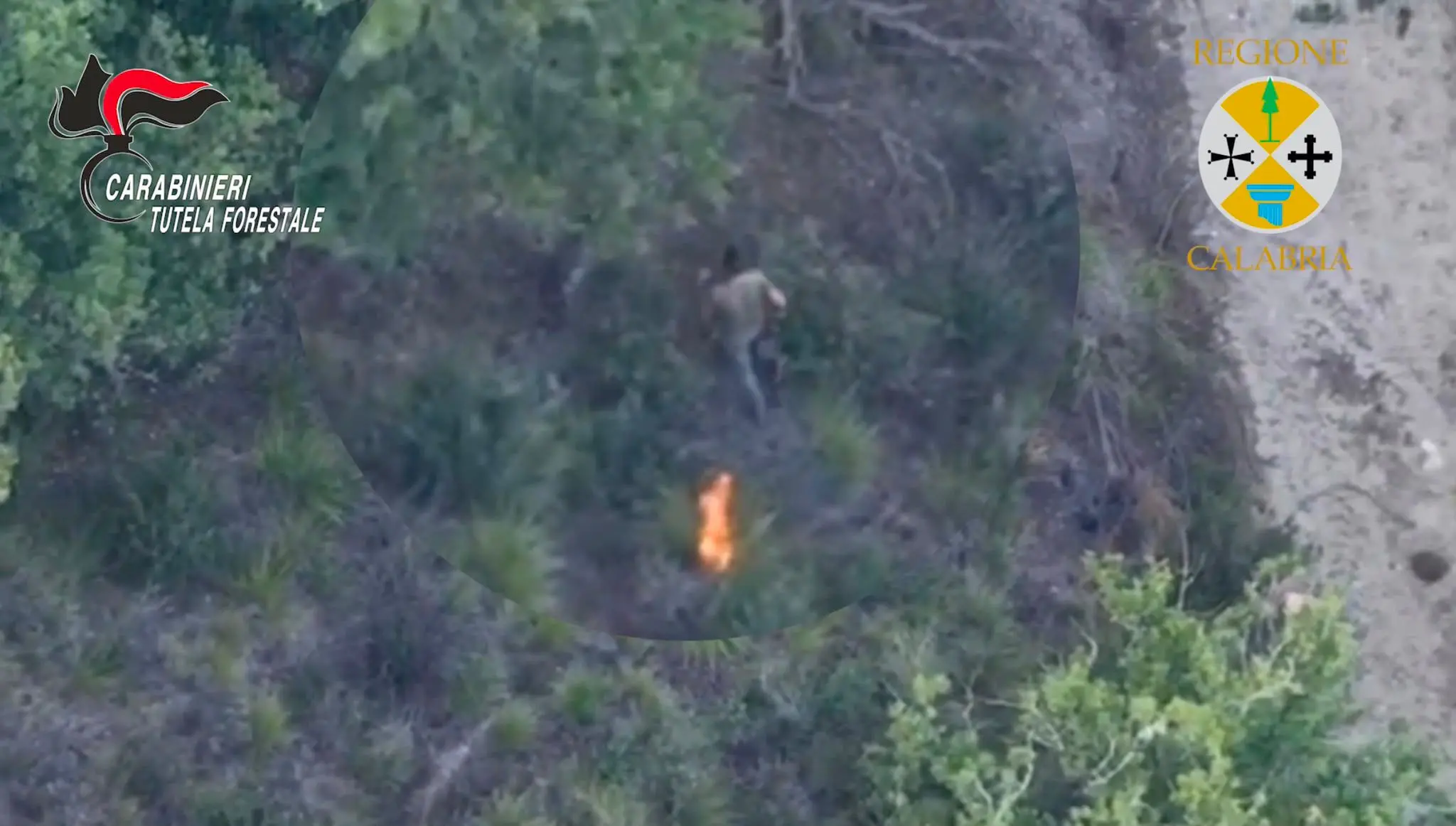 Appicca il fuoco in un bosco, ma viene ripreso dal drone: arrestato un 50enne nel Vibonese –\u00A0VIDEO\n