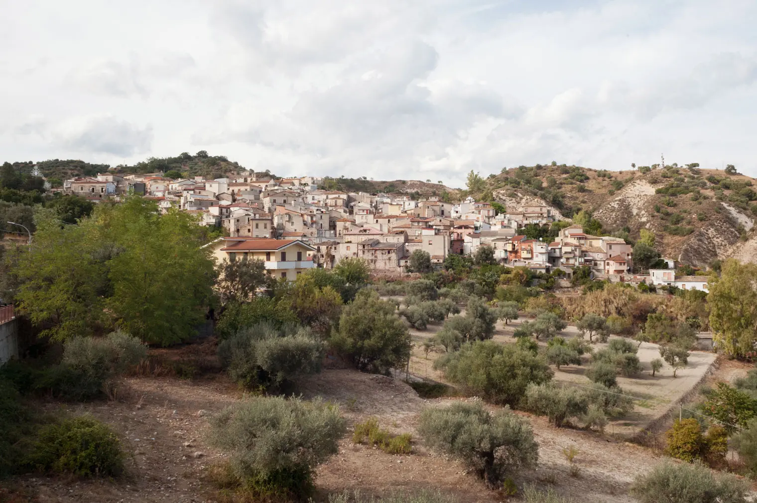 Riace e il gemellaggio con il campo palestinese respinto in aula, Trifoli: «La Giunta non può bypassare il Consiglio»\n