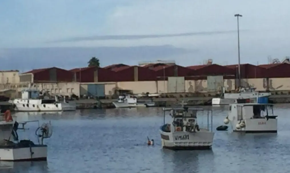 Porto di Vibo Marina, pubblicato il bando per demolire l’ex Civam: lavori da 1,5 milioni e cantiere previsto a ottobre\n