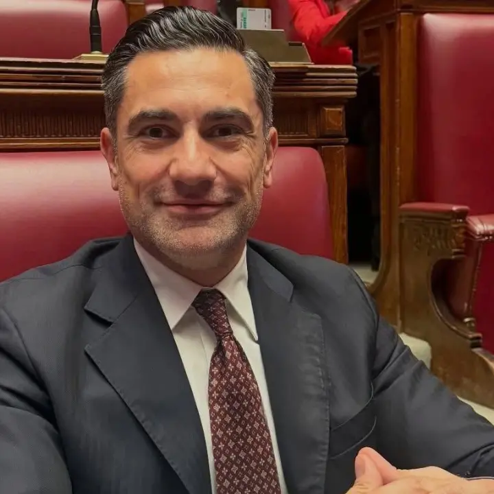 Reggio, Furgiuele a De Biasi:\u00A0«Oggi difende Tilde Minasi ma un tempo criticava lei e la gestione della Lega»\u00A0\n