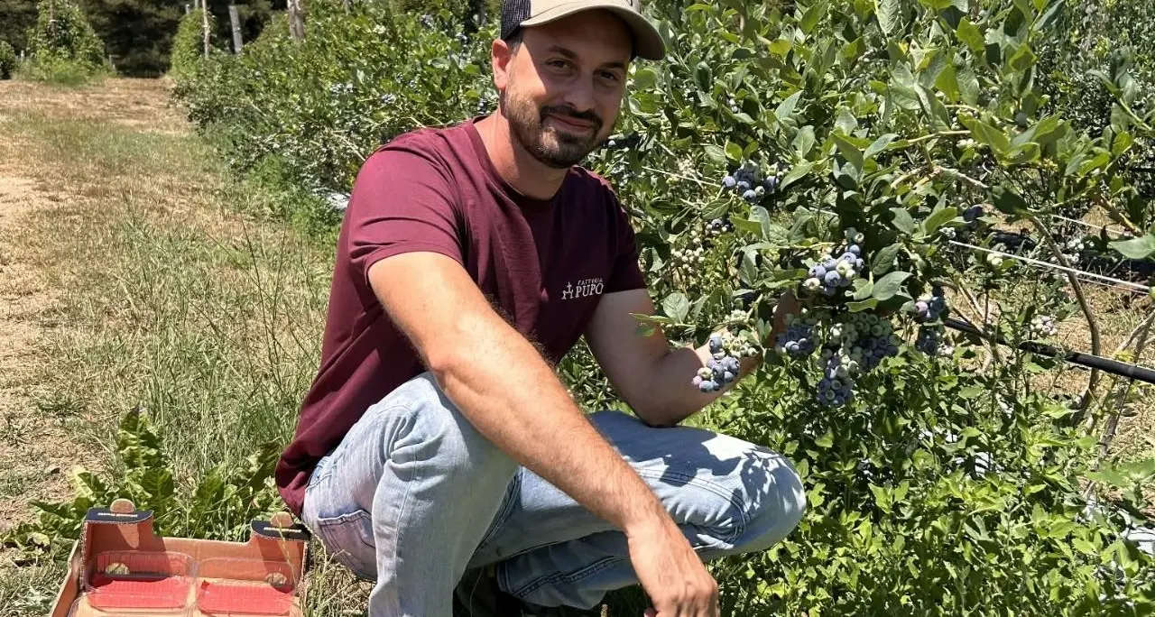 <p>A 26 anni lasciò Londra per riprendere la fattoria del nonno in Sila: «Mi dicevano che avrei fallito, ma<span style=\"color:hsl(0,75%,60%);\"> ho scelto di restare</span>»</p>