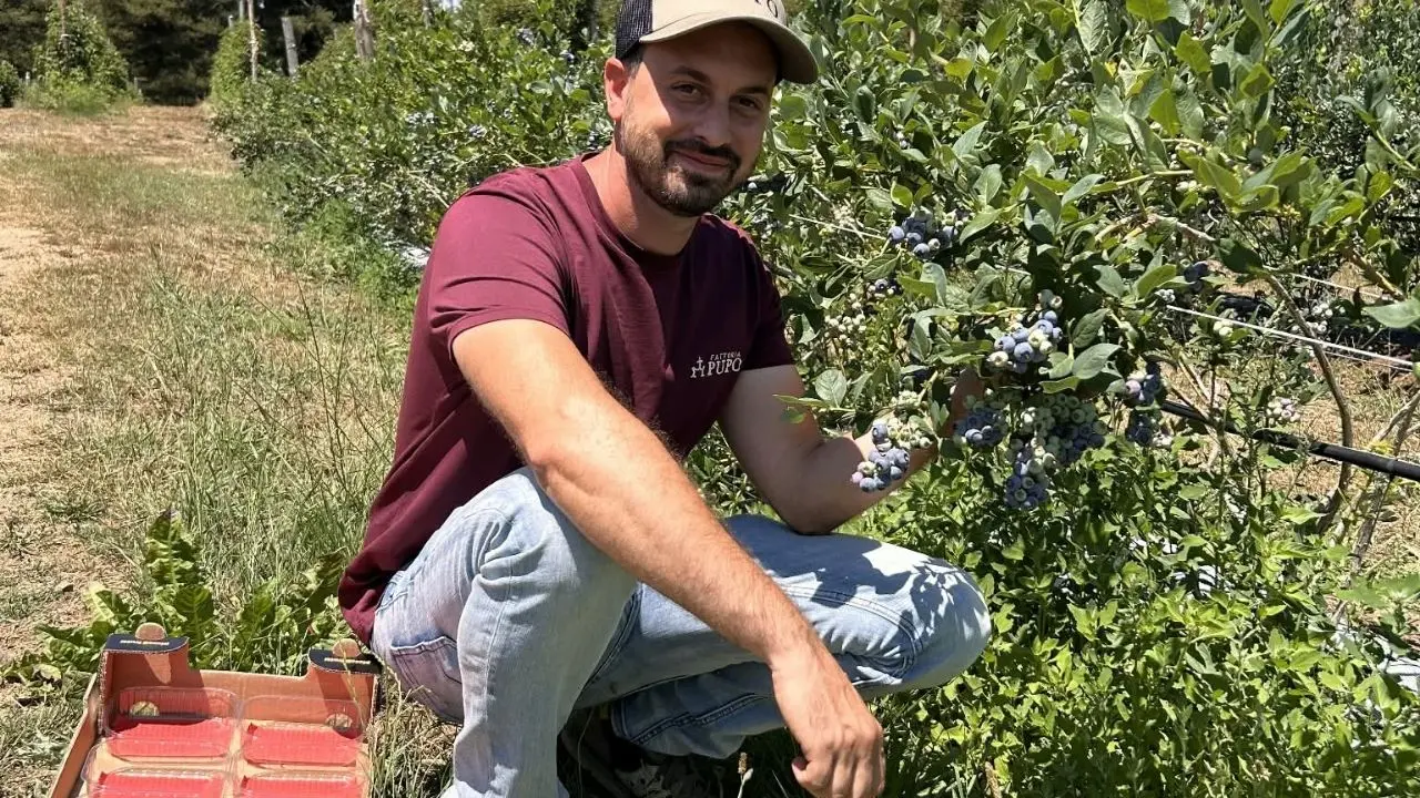 A 26 anni lasciò Londra per riprendere la fattoria del nonno in Sila: «Mi dicevano che avrei fallito, ma ho scelto di restare»\n