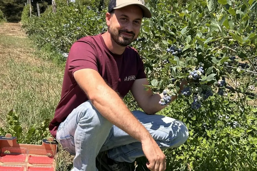 A 26 anni lasciò Londra per riprendere la fattoria del nonno in Sila: «Mi dicevano che avrei fallito, ma ho scelto di restare»\n