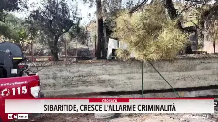 Sibaritide, cresce l'allarme criminalità