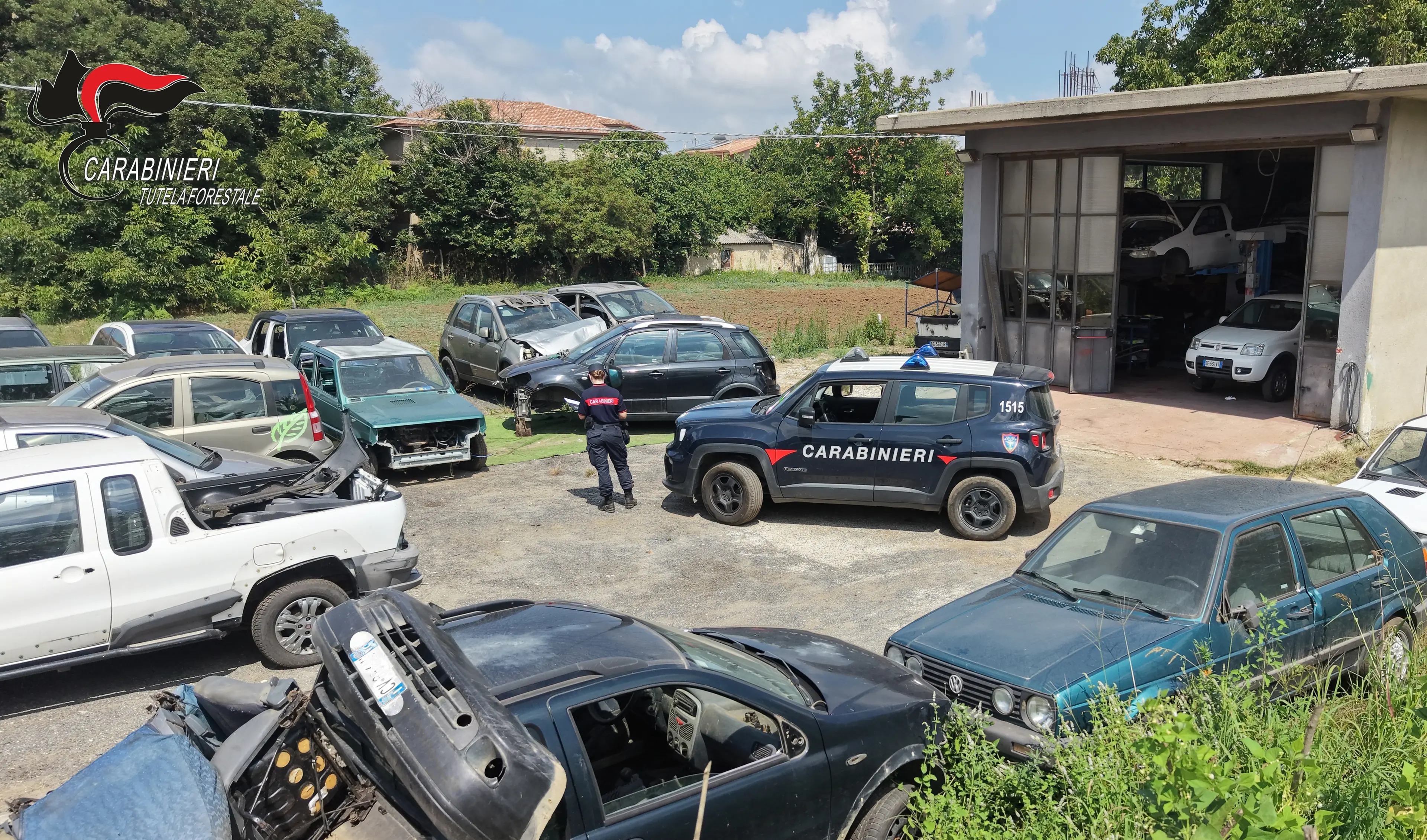 Dinami, scoperta officina abusiva in un’area di 1.200 metri quadrati: 33 auto fuori uso e 19 targhe, scatta il sequestro\n