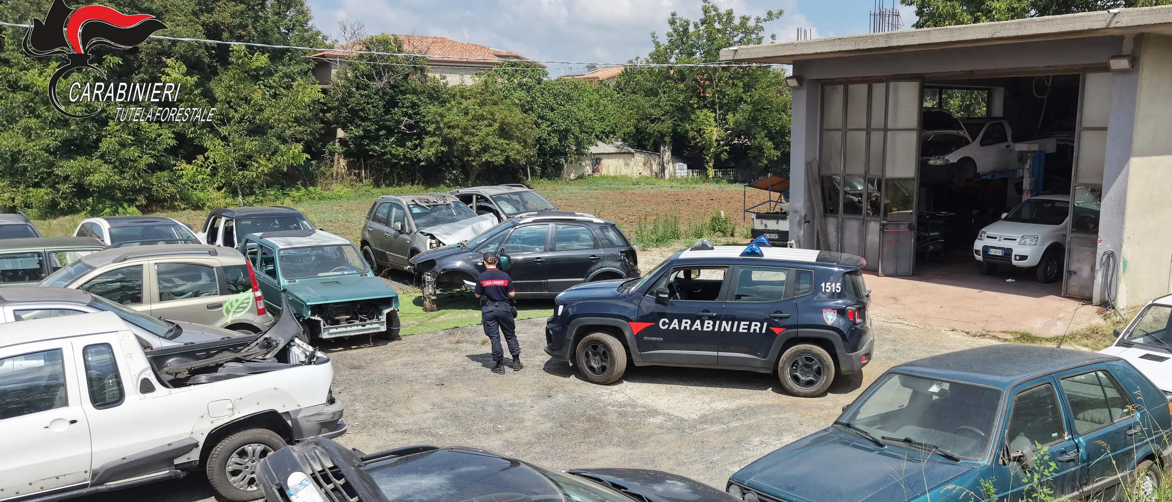 Dinami, scoperta officina abusiva in un’area di 1.200 metri quadrati: 33 auto fuori uso e 19 targhe, scatta il sequestro\n