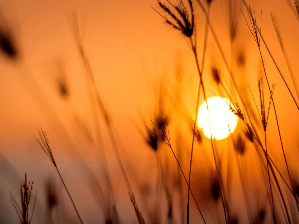 Calabria rossa ovunque, ancora una domenica di caldo estremo con punte di 42 gradi (ma è l’ultimo giorno)