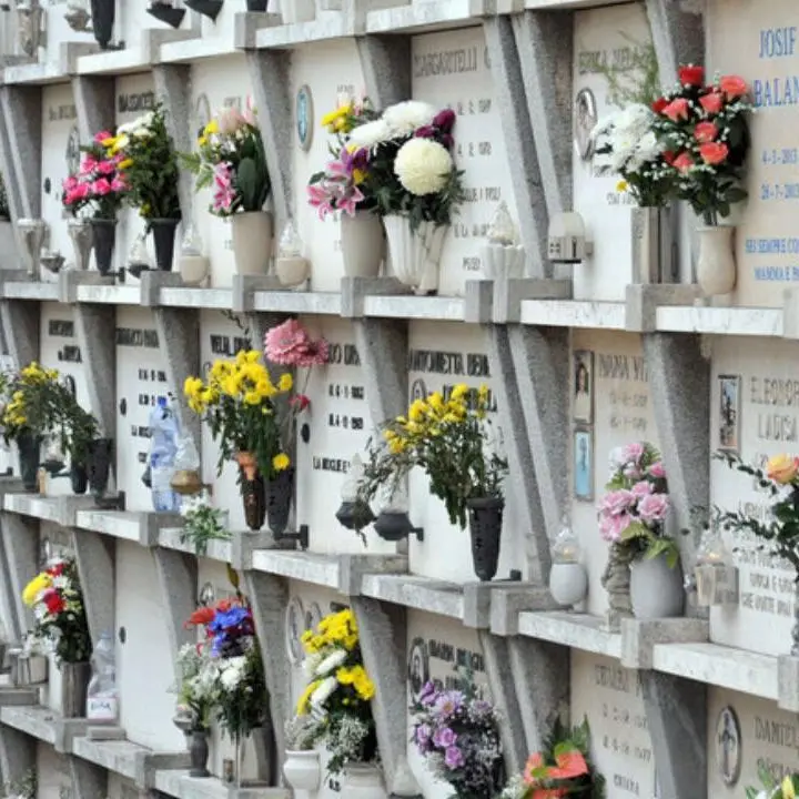 <p>Catanzaro, cimitero centrale al buio e tra le erbacce: lo sdegno di un cittadino </p>
