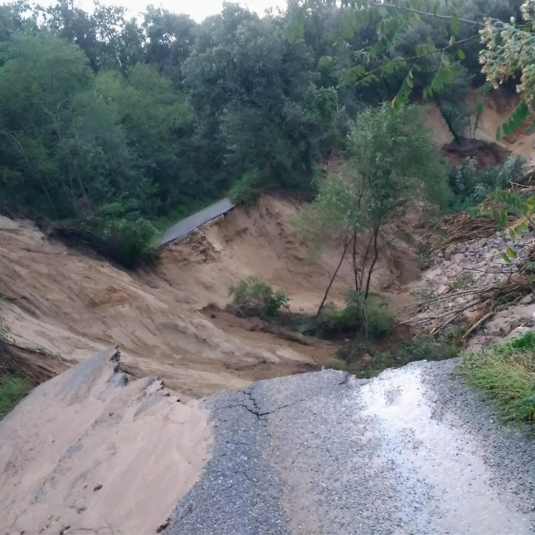 <p>«In Calabria l’emergenza è diventata sistema e la prevenzione resta un’eterna promessa»</p>