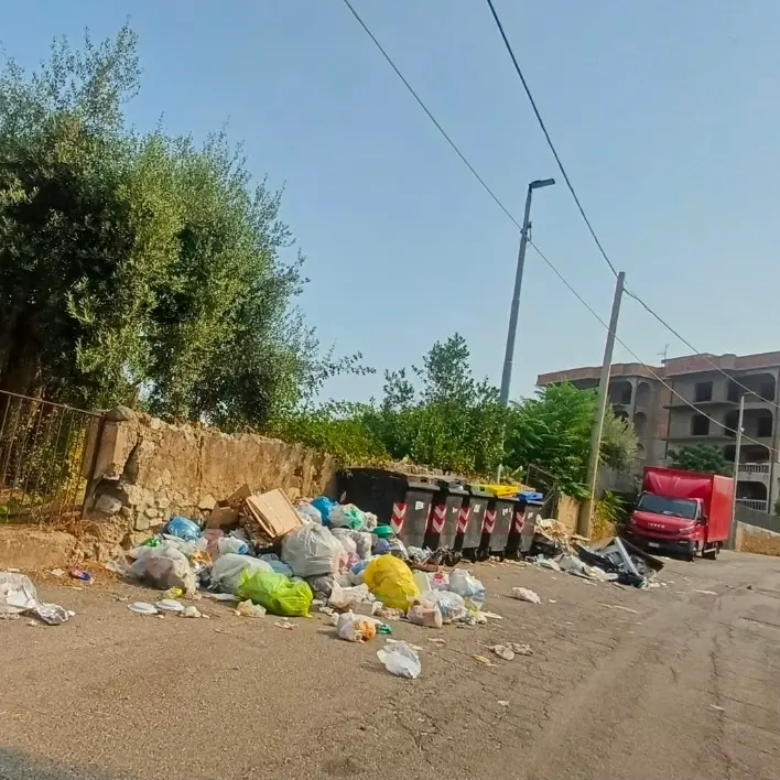 Rifiuti e degrado a Sambatello,\u00A0il consigliere Chirico chiede una bonifica urgente\n