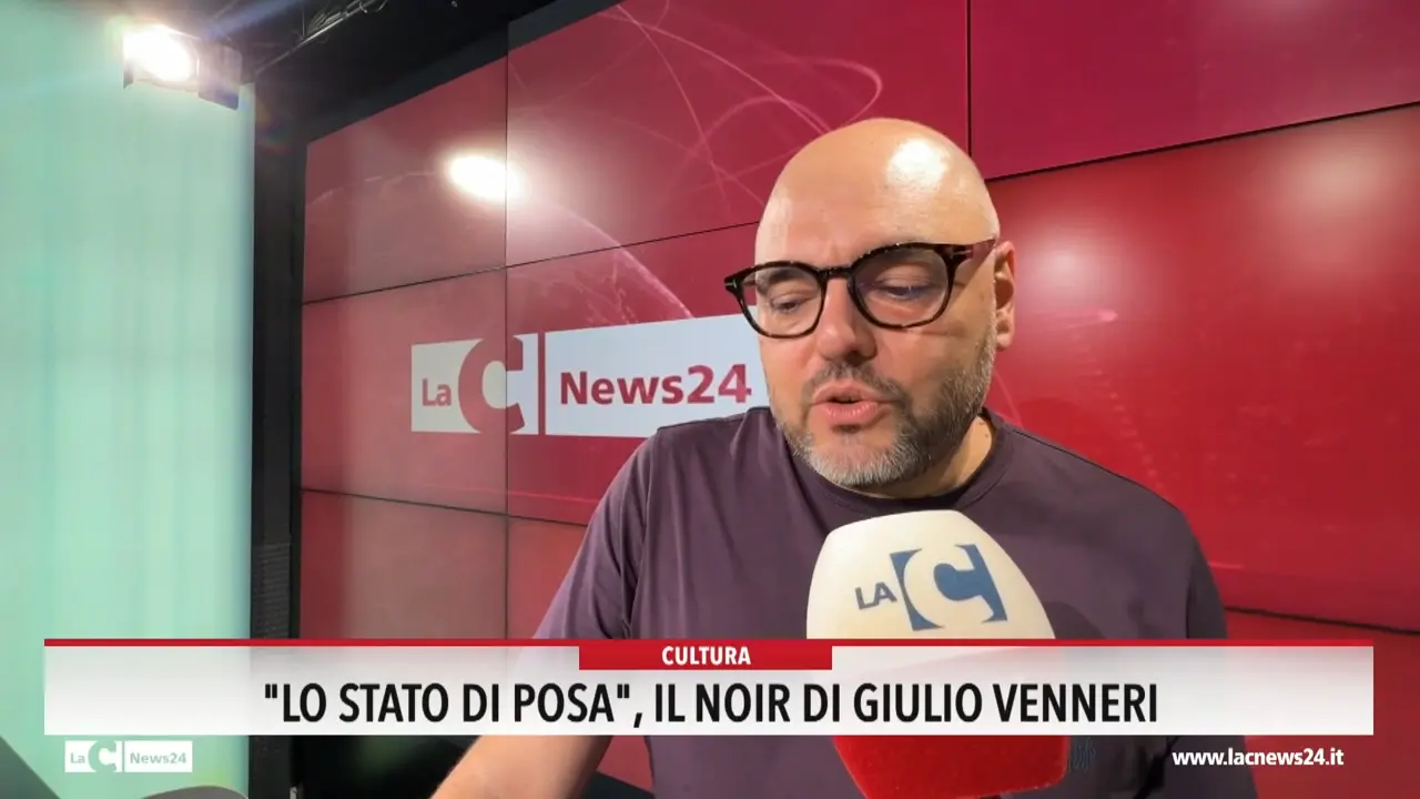 \"Lo stato di posa\", Il noir di Giulio Venneri