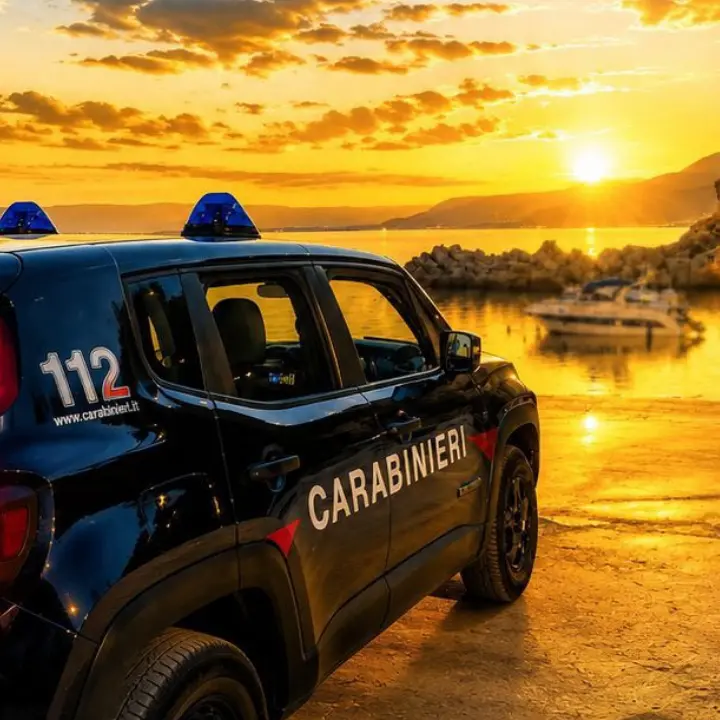 Controlli dei carabinieri nel Vibonese: un arresto, 18 piante di cannabis sequestrate e denunce, ecco dove\n