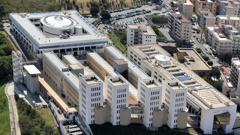 L’università Mediterranea ospita il 121° congresso della società\u00A0Botanica italiana\u00A0\n