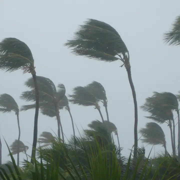 «Il mare è diventato una bomba ecologica, rischiamo tornado e piogge torrenziali in Calabria»: l’allarme di Bonelli (Avs)\n