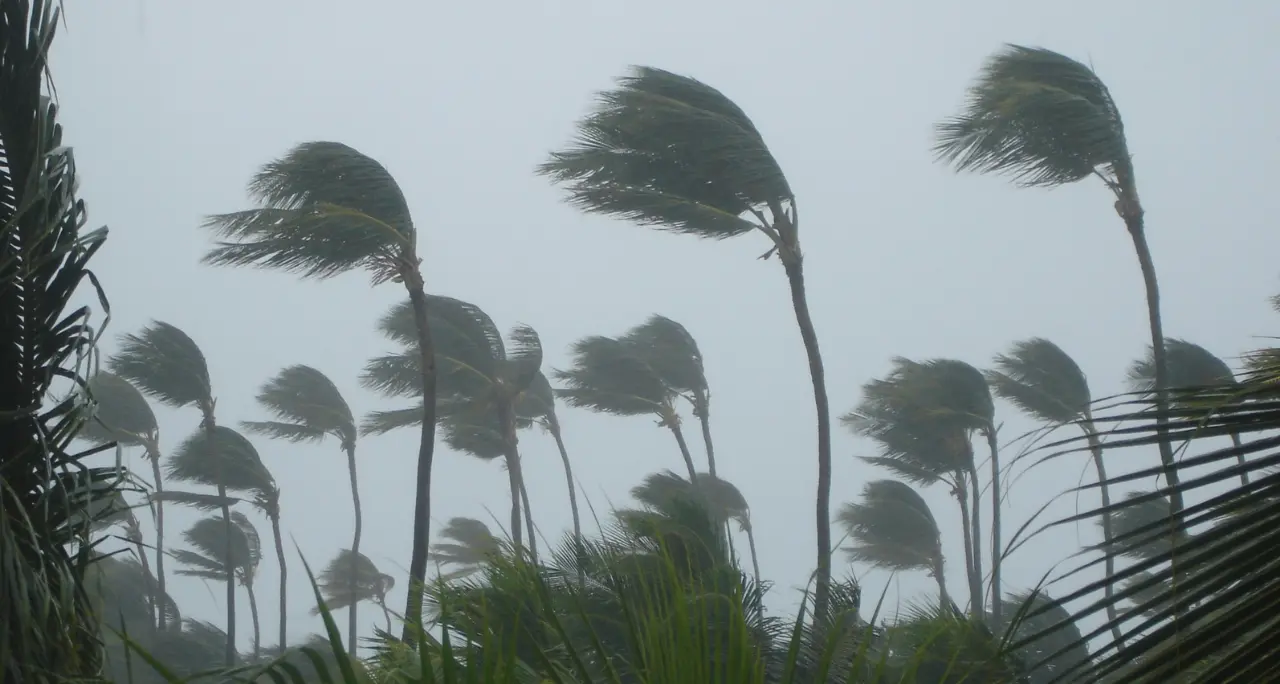 «Il mare è diventato una bomba ecologica, rischiamo tornado e piogge torrenziali in Calabria»: l’allarme di Bonelli (Avs)\n