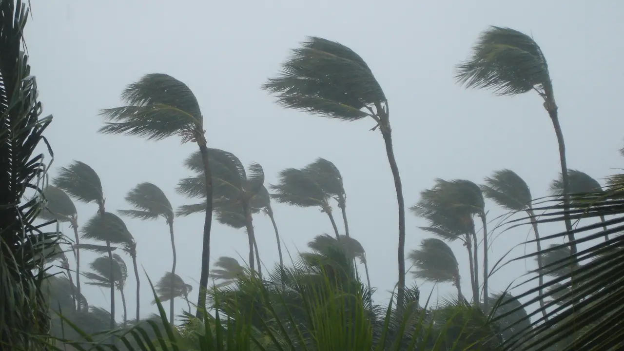 «Il mare è diventato una bomba ecologica, rischiamo tornado e piogge torrenziali in Calabria»: l’allarme di Bonelli (Avs)\n