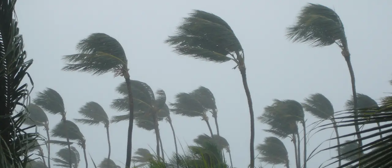 «Il mare è diventato una bomba ecologica, rischiamo tornado e piogge torrenziali in Calabria»: l’allarme di Bonelli (Avs)\n
