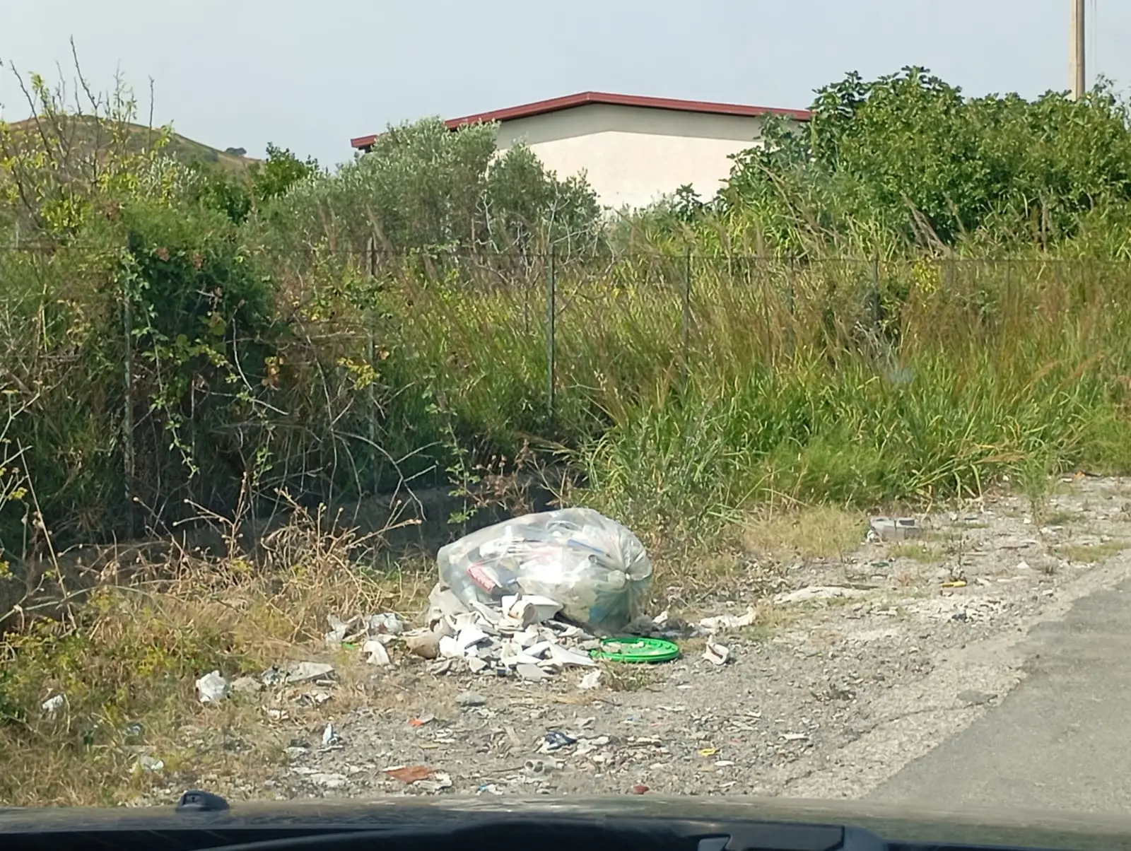 Episodi di inciviltà in Contrada Guglia: lettera all’assessora Colosimo