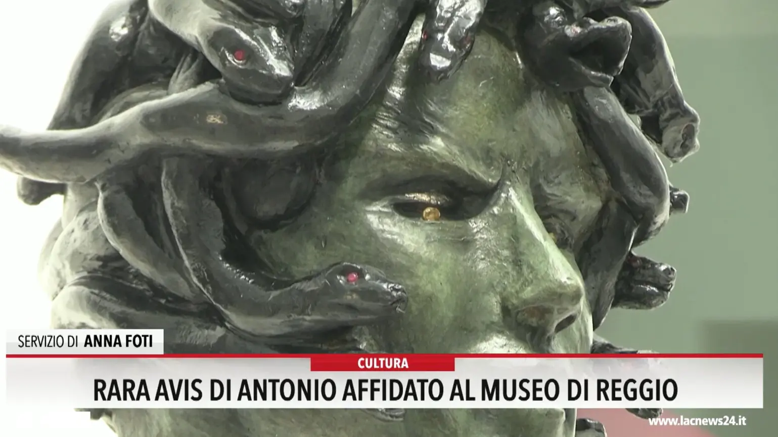 Rara Avis di Antonio Affidato al Museo di Reggio