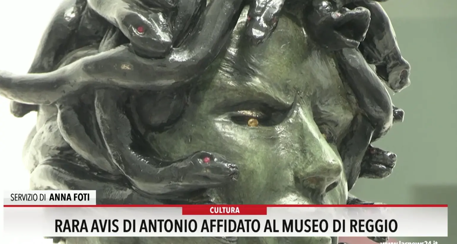 Rara Avis di Antonio Affidato al Museo di Reggio
