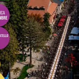 Nasce “Sila Felix”: due giorni a Camigliatello tra gusto, natura e turismo esperienziale\n
