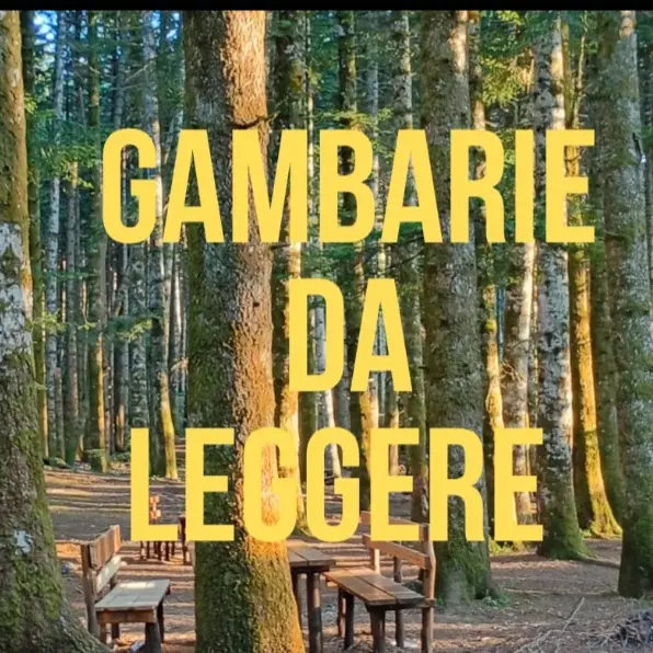 Gambarie, la cultura entra nel futuro della montagna: dal successo del gruppo di lettura una nuova visione per il turismo dell’Aspromonte\n