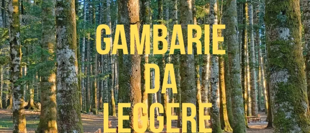 Gambarie, la cultura entra nel futuro della montagna: dal successo del gruppo di lettura una nuova visione per il turismo dell’Aspromonte\n