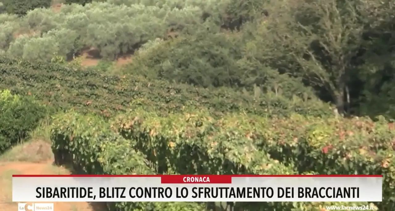 Sibaritide, blitz contro lo sfruttamento dei braccianti