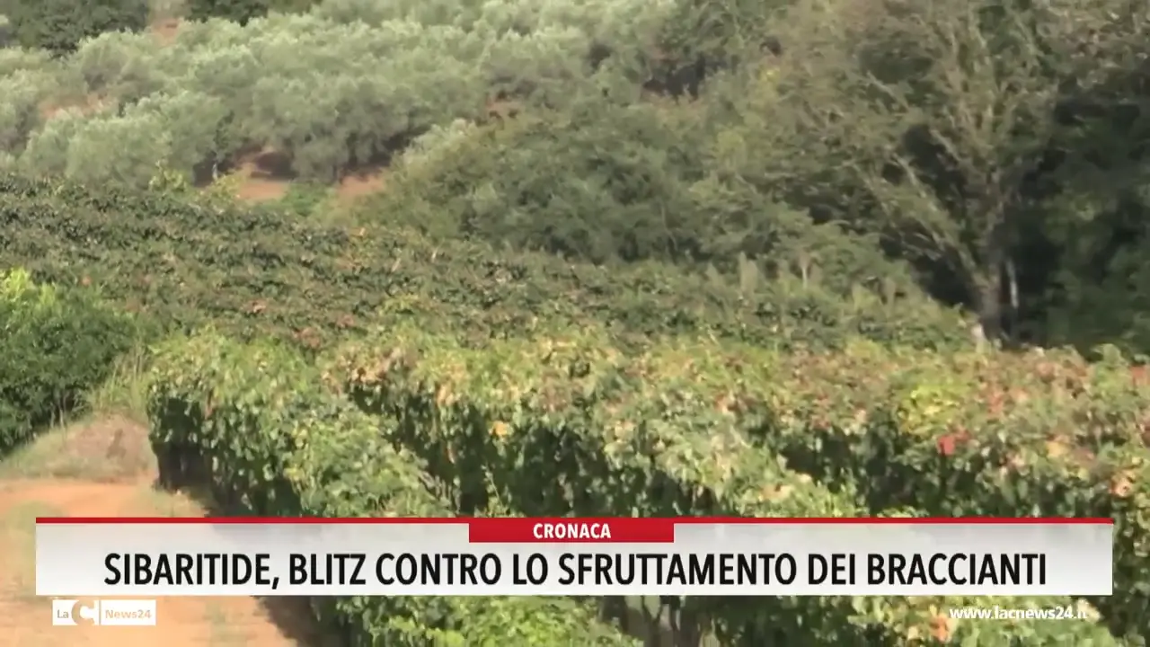 Sibaritide, blitz contro lo sfruttamento dei braccianti