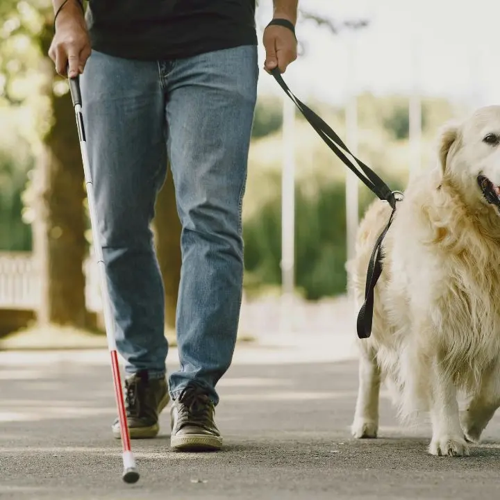 Parghelia, una settimana di autonomia e inclusione: al via il campo estivo Uici per persone con disabilità visiva\n