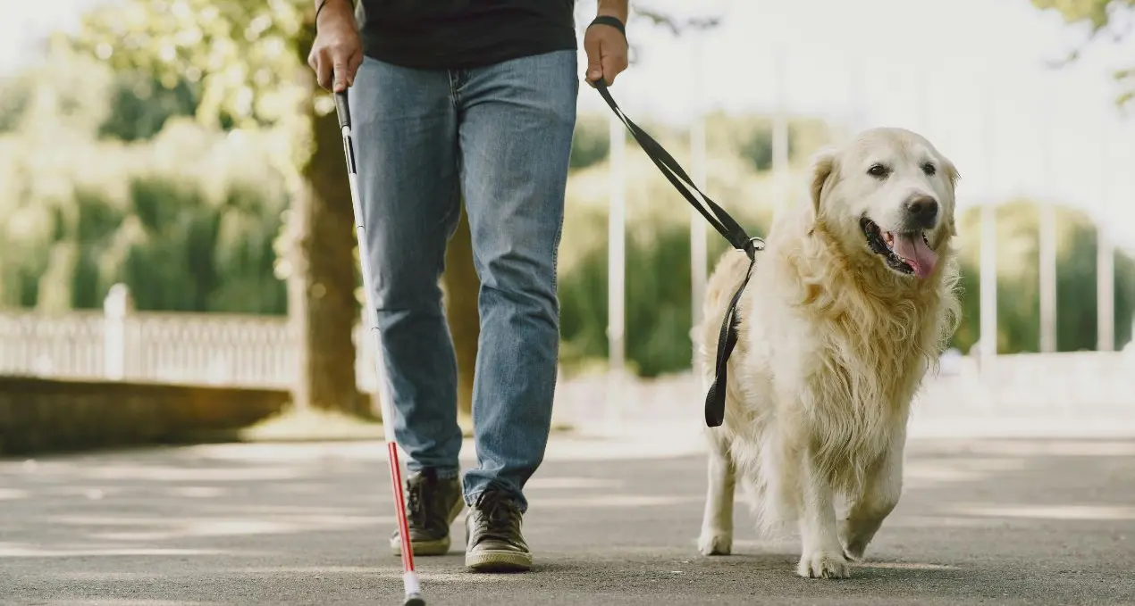 Parghelia, una settimana di autonomia e inclusione: al via il campo estivo Uici per persone con disabilità visiva\n