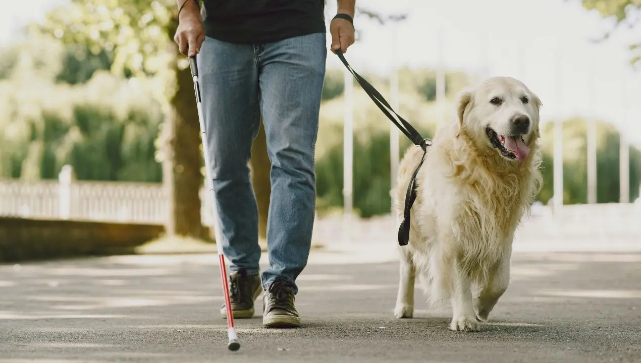 Parghelia, una settimana di autonomia e inclusione: al via il campo estivo Uici per persone con disabilità visiva\n