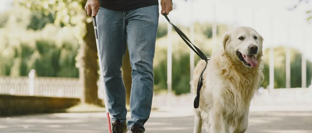 Parghelia, una settimana di autonomia e inclusione: al via il campo estivo Uici per persone con disabilità visiva\n